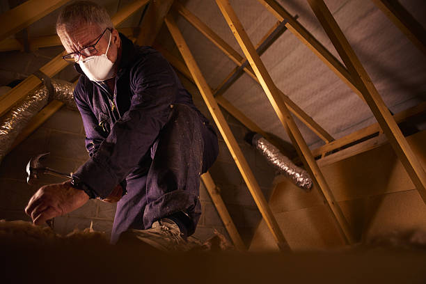 Best Insulation Installation Services in Westmoreland, TN